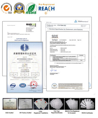 Hot Sales Multi-Purpose Foam Cleaner (RoHS, REACH, SGS)